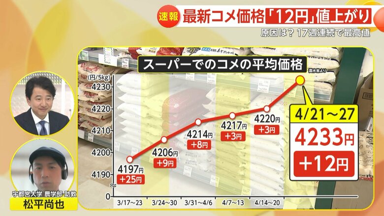 【解説】“17週連続”最高値更新で米価格5キロ4233円に…出回らない備蓄米は一体どこに？値下がりしない理由とは｜FNNプライムオンライン