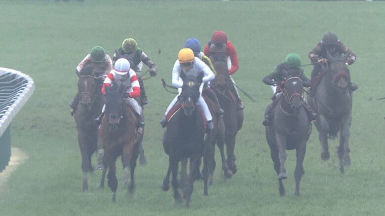 【スプリングS&金鯱賞・GⅡ】今週は中山と中京でダブルGⅡ 中山でクラシック皐月賞への切符争い!中京では大阪杯をかけて古馬たちが大激突!|FNNプライムオンライン