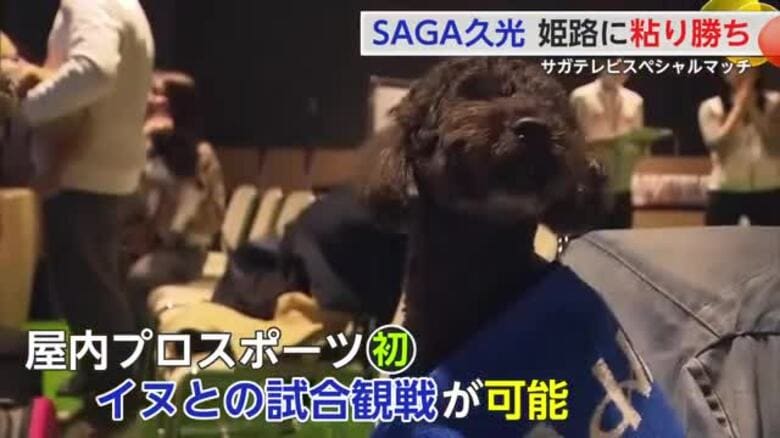 屋内プロスポーツ初！愛犬との観戦可能に　SAGA久光　サガテレビスペシャルマッチ　【佐賀県】｜FNNプライムオンライン