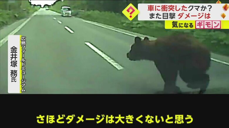 (視聴者撮影)