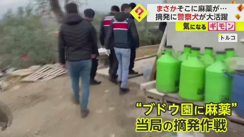(画像:IHA)
