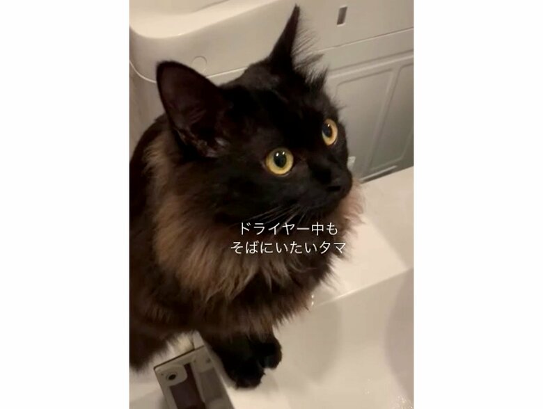 提供:イナタマグラムさん