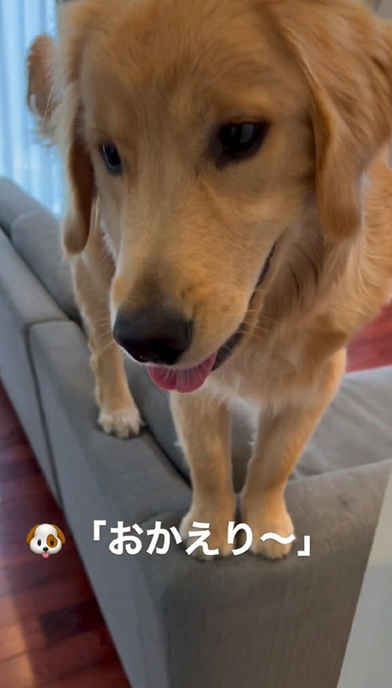 目の前にはサンちゃんが！