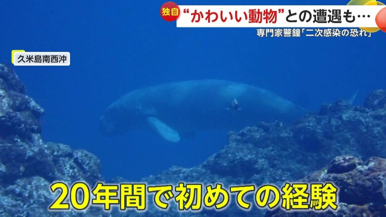 ジュゴンとの遭遇について語る久米島ダイビングセンター「SHIRAHAMA」のダイビングインストラクター・紙治美さん
