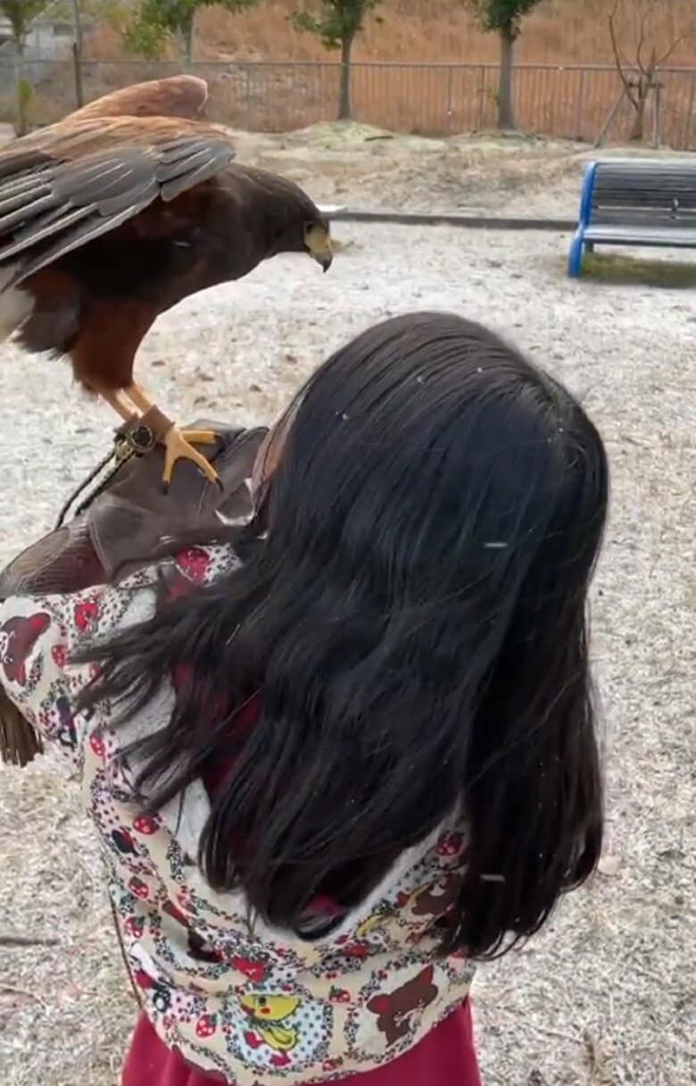 うまくいったね