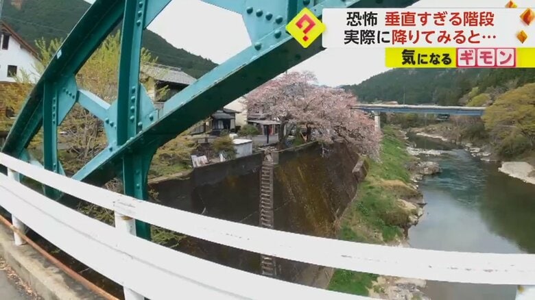 （井上武史さん撮影）