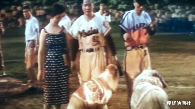 昭和36年（1961年）のオールスター表彰式