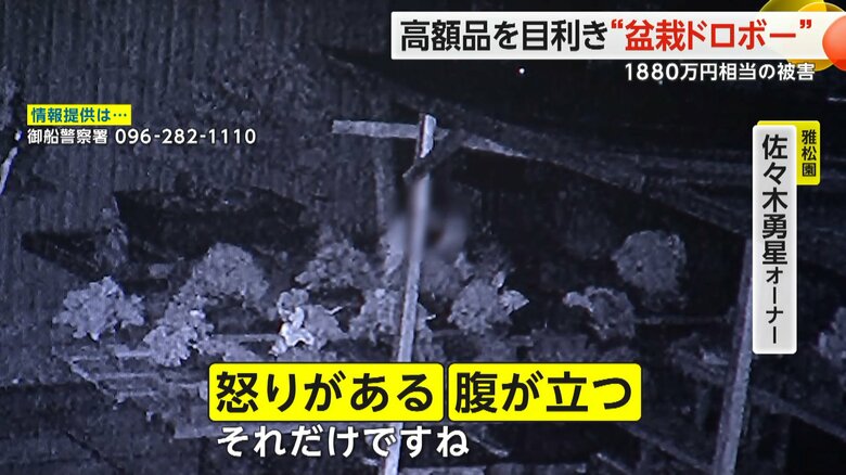 （雅松園提供）