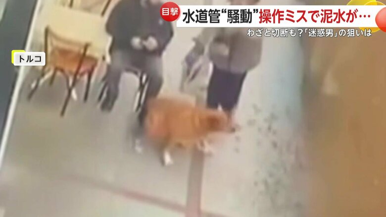 吹き上がる水に驚く通行人と犬（IHA）