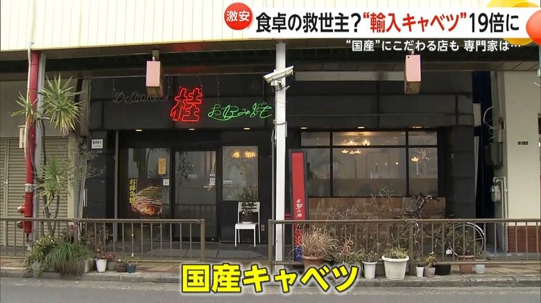国産キャベツを使い続けるという「お好み焼き桂」