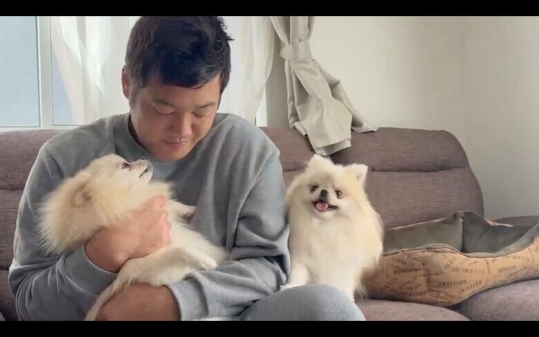 （提供：愉快な3姉妹ポメラニアンちゃんねるさん）