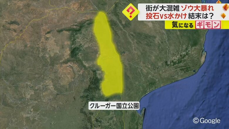 南アフリカの北東部にある
野生動物を保護するクルーガー国立公園