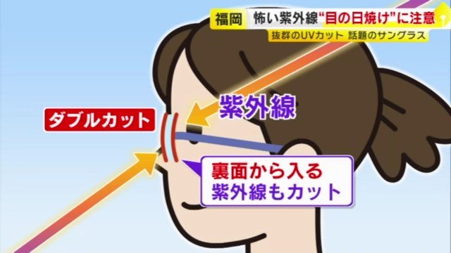 UVダブルカットレンズの効果