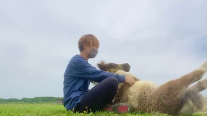 （提供：おひさま牧場）