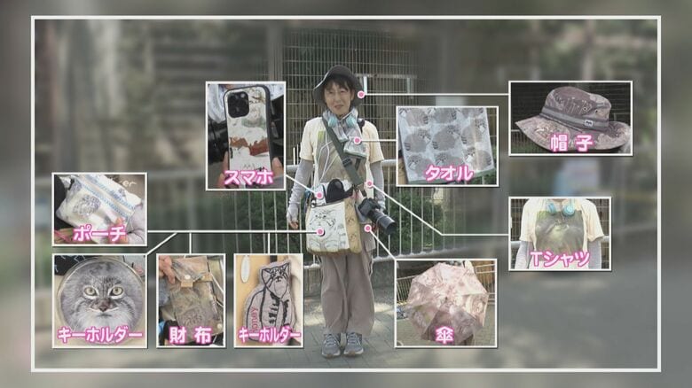 ニュースONE