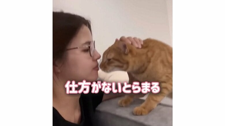 とらまるくんは大好きなママさんにキスしたくて仕方がない