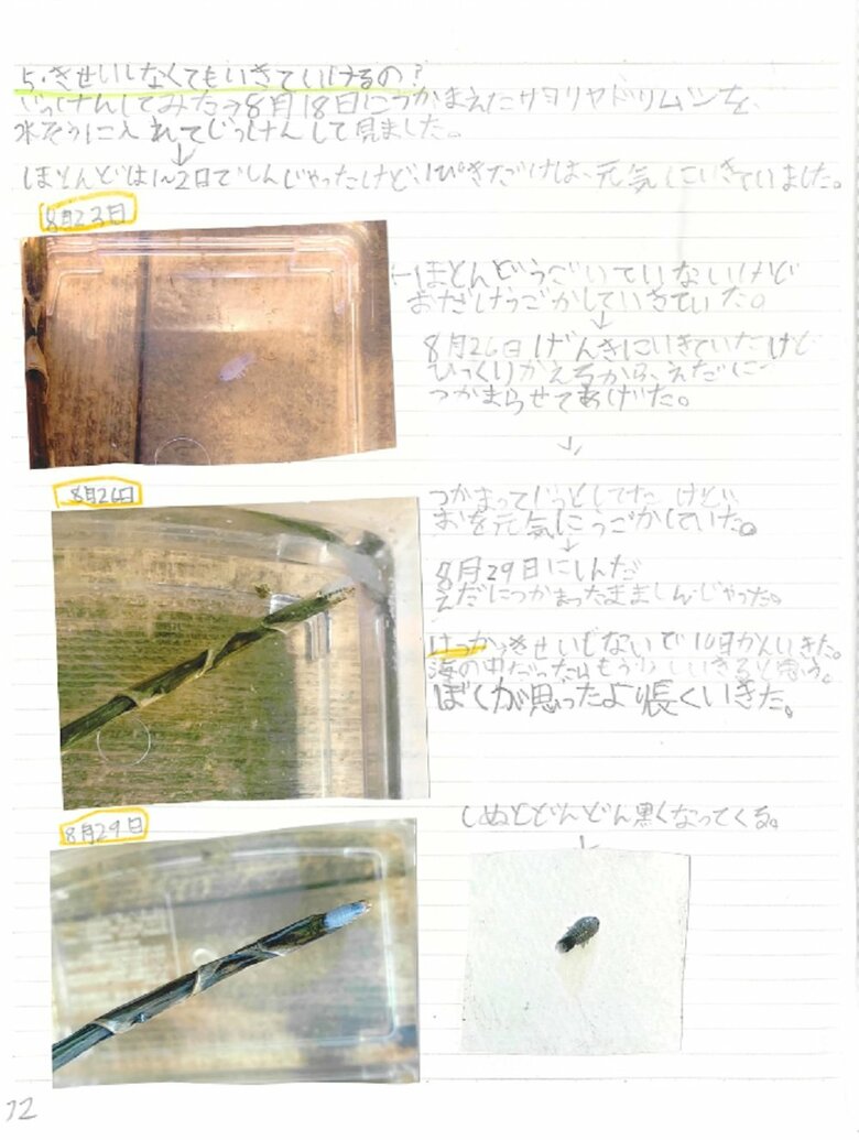 12ペ－ジ目（サヨリヤドリムシでしらべてみた・寄生せず何日生きる？）