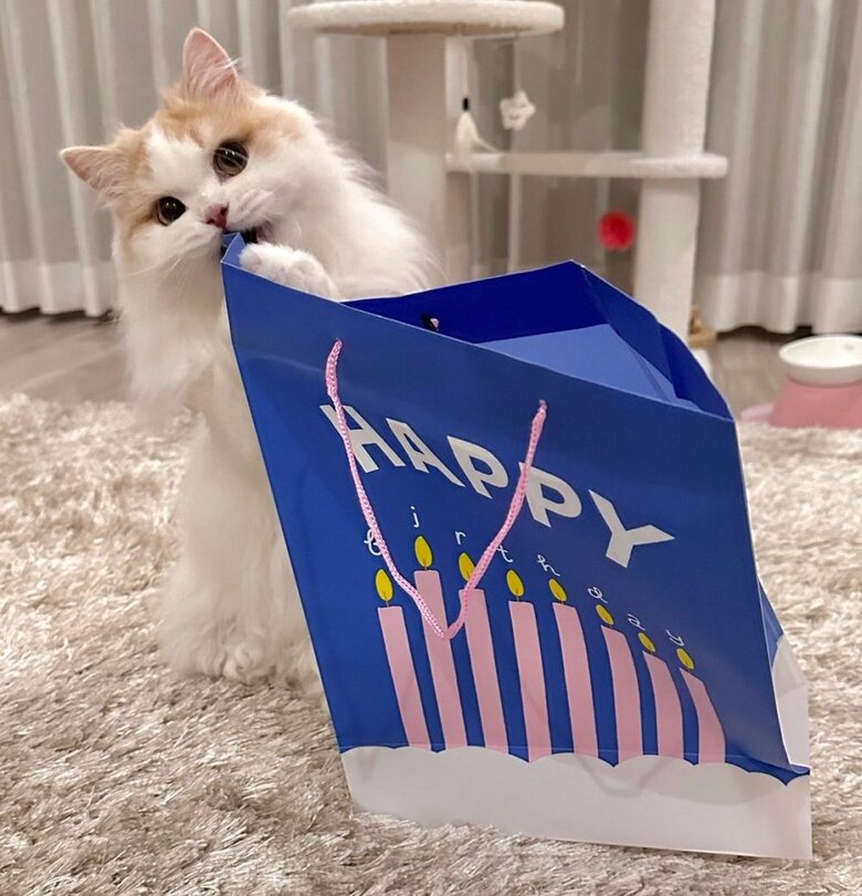 紙袋をおもちゃに…