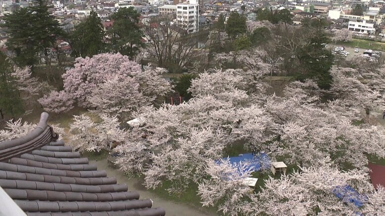 天守閣からの眺め
