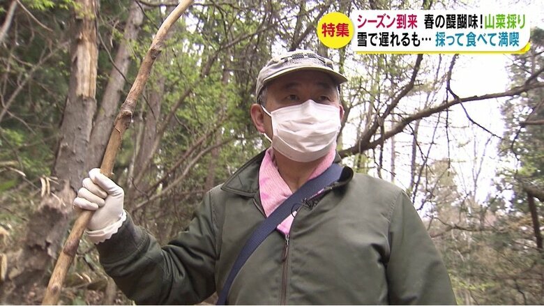 「山菜取り名人」の赤池健さん