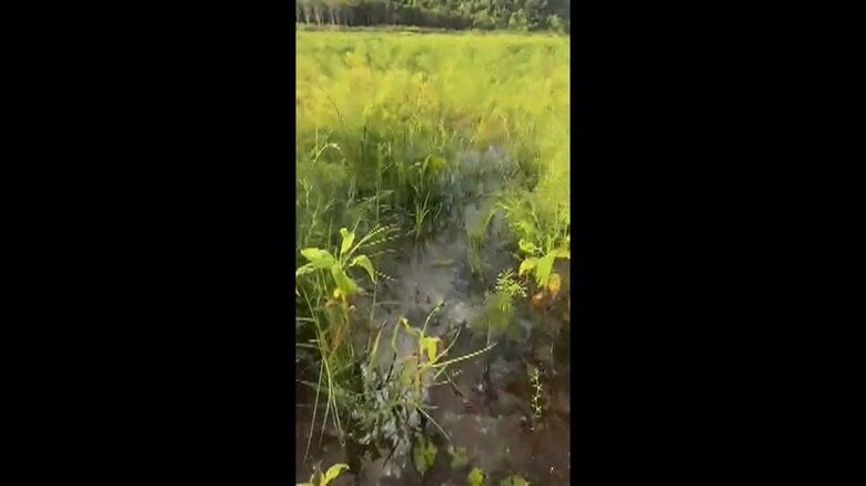 Farm On Sangkhla Buri