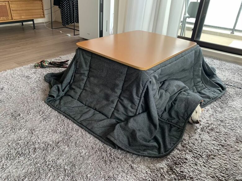 提供：ラッキーさん