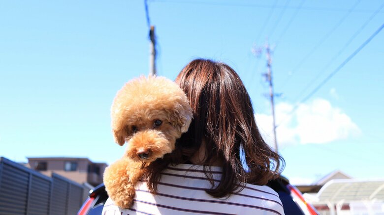 抱っこなどをしてもいいかもしれない（画像はイメージ）