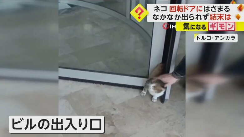 回転ドアにはさまっているネコに声をかけ、なでている通行人