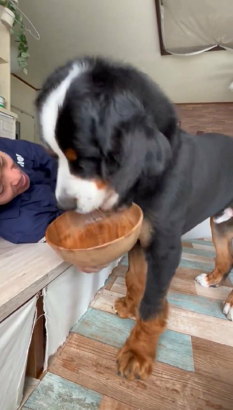 キレイに完食！