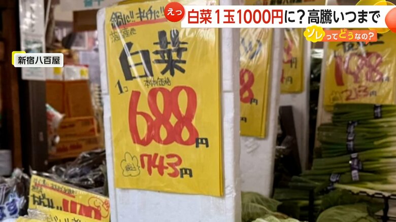 東京・新宿区のスーパーで1玉743円で販売されていた白菜