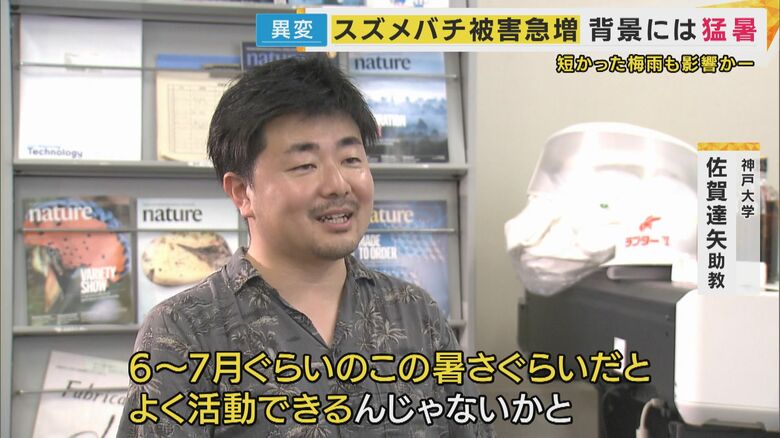 スズメバチを研究する神戸大学・佐賀達矢助教