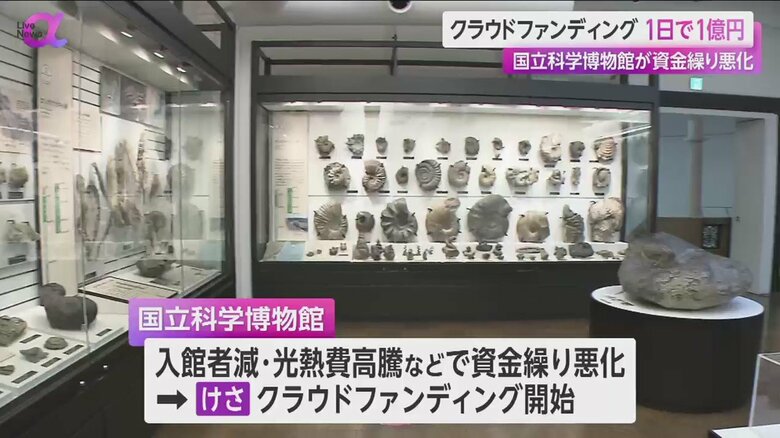 国立科学博物館の展示品
