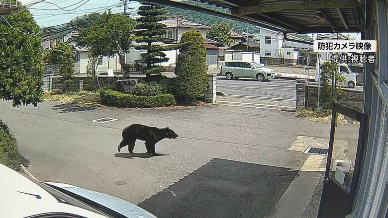 防犯カメラの映像（提供：視聴者）