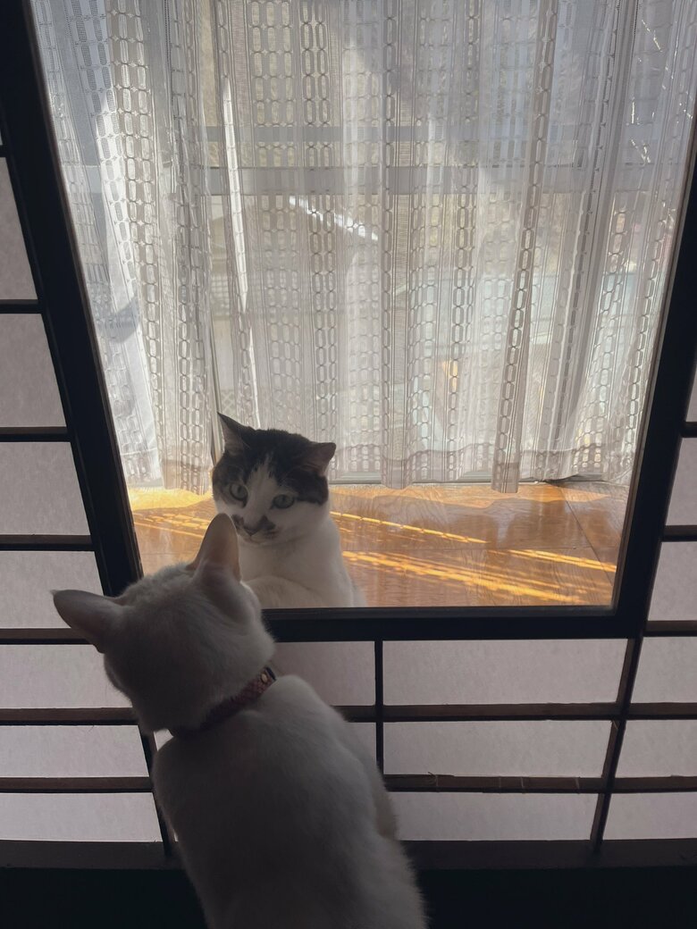 提供：いのうえもんぺさん