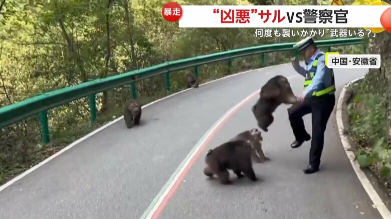 警察官に襲い掛かるサル（中国SNSより）