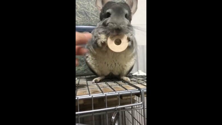 もう一度渡すと受け取ってくれる