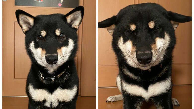 普段から感情表現が豊か