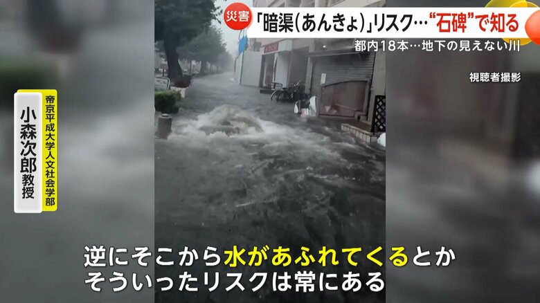「逆にそこから水があふれてくるとか、そういったリスクは常にある」と語る帝京平成大学人文社会学部・小森次郎教授