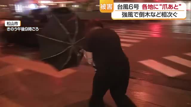 壊れる傘や倒木「もうやばい」台風６号が愛媛でも爪あと　停電も３．４万戸　警察に数十件通報【愛媛】