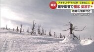 異例の暖かさで「蔵王の樹氷」姿見えず…水滴したたり幹があらわに　ライトアップやツアーの実施見送りも【山形発】
