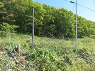 線路脇の樹木切断し通信ケーブルに倒木接触させた疑い…神奈川県の23歳男を逮捕…ノロッコ号ラストラン前に”撮り鉄”に人気の撮影スポットで犯行か…JR釧網線〈北海道釧路町〉