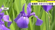 7月並み季節外れの暑さ続く中カキツバタ見頃…16日から梅雨のような天気に17日は大雨に注意（山陰）