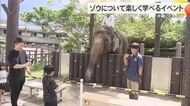 沖縄こどもの国がゾウについて楽しく学べるイベント　8月12日は「世界ゾウの日」