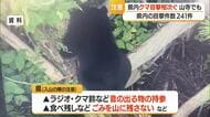【クマ出没】今季初サクランボの食害　東根・山寺・新山・間沢スキー場で目撃　山形