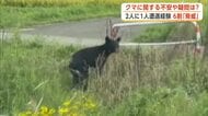クマに関する県民の不安や疑問、専門家が答えます！日頃からいざという時の心構えと備えを忘れずに　秋田