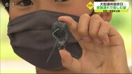 コロナ禍2年目のGW 感染対策し最終日を満喫 吉野ヶ里歴史公園