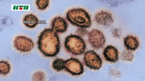 【速報】新型コロナ 15日、長崎県内で新たな感染発表はなし