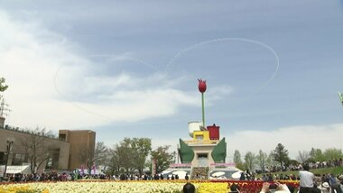 2年分の思いを込めた「となみチューリップフェア」が開幕 ブルーインパルスとの共演も【富山発】