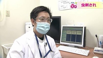 ズボンの裾は靴下に…危険な「虫刺され」 ハチやマダニへの対策は【福井発】