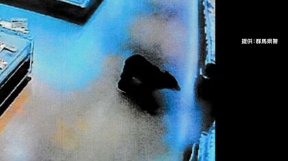 男性の後を追うクマの姿が防犯カメラに…駅前トイレで1～1.5mのクマが男性襲撃　1カ月前に市内スーパーにも出没…市民「恐怖と戦っている」